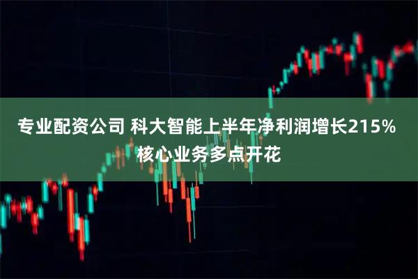 专业配资公司 科大智能上半年净利润增长215% 核心业务多点开花