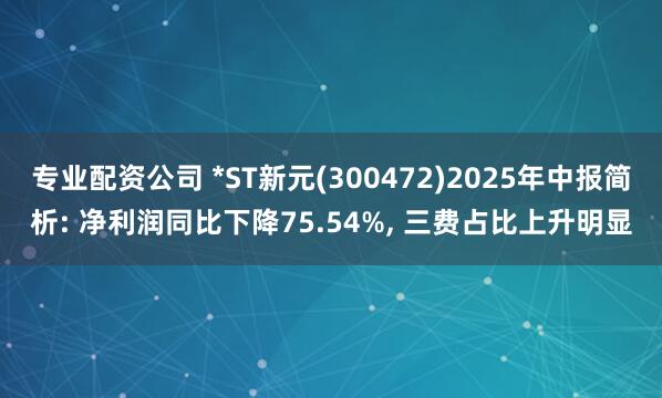 专业配资公司 *ST新元(300472)2025年中报简析: 净利润同比下降75.54%, 三费占比上升明显
