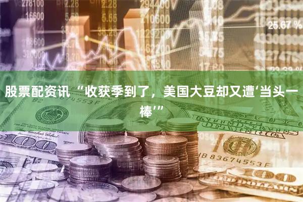 股票配资讯 “收获季到了,美国大豆却又遭‘当头一棒’”