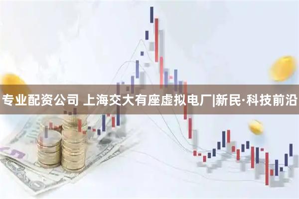 专业配资公司 上海交大有座虚拟电厂|新民·科技前沿
