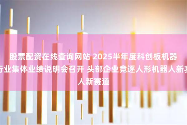 股票配资在线查询网站 2025半年度科创板机器人行业集体业绩说明会召开 头部企业竞逐人形机器人新赛道