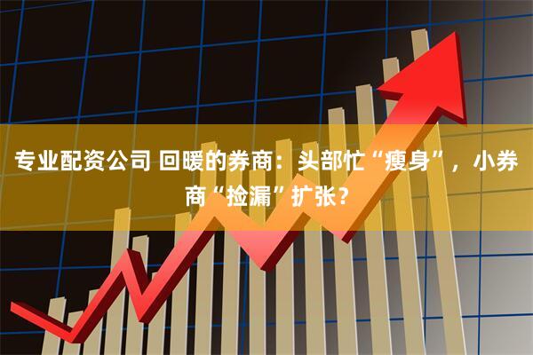 专业配资公司 回暖的券商：头部忙“瘦身”，小券商“捡漏”扩张？