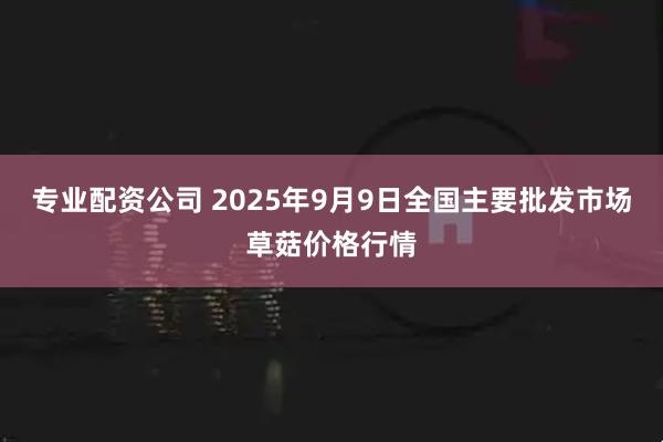 专业配资公司 2025年9月9日全国主要批发市场草菇价格行情