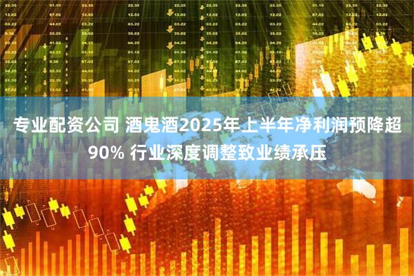 专业配资公司 酒鬼酒2025年上半年净利润预降超90% 行业深度调整致业绩承压