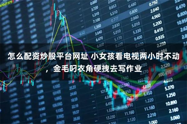 怎么配资炒股平台网址 小女孩看电视两小时不动，金毛叼衣角硬拽去写作业
