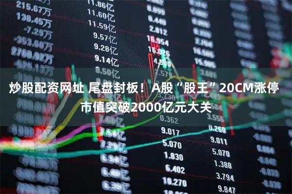 炒股配资网址 尾盘封板！A股“股王”20CM涨停 市值突破2000亿元大关